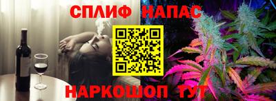индика Кингисепп