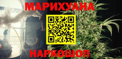 прущие грибы Беслан