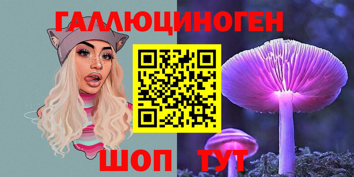 Галлюциногенные грибы Cubensis  Псилоцибиновые грибы Cubensis  Кинель  Вход с VPN 